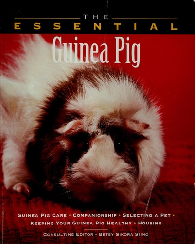 The Essential Guinea Pig (The Essential Guides)