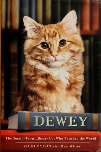 Dewey: The Small-Town Library Cat Who Touched the World