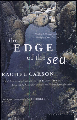 The Edge Of The Sea