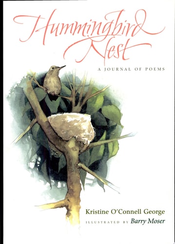 Hummingbird Nest: A Journal of Poems