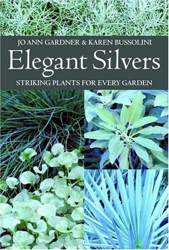 Elegant Silvers: Striking Plants for Every Garden