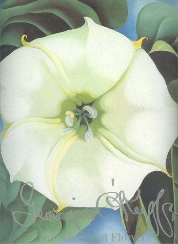 Georgia O'Keeffe: One Hundred Flowers