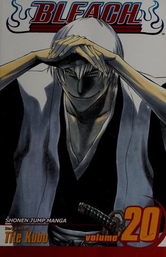 Bleach, Vol. 20