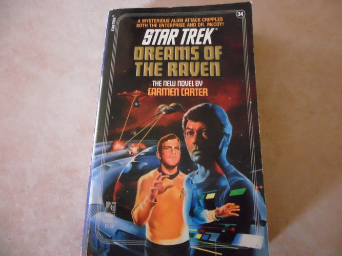 Dreams of the Raven (Star Trek)