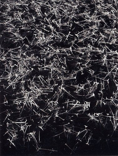 Cascade Effect (One Picture Book, No. 49)