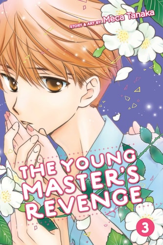 The Young Master's Revenge, Vol. 3 (3)