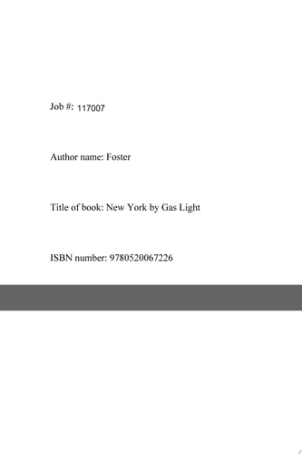 New York by Gas-Light and Other Urban Sketches