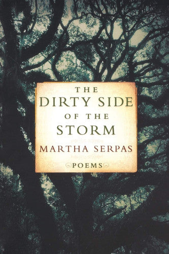The Dirty Side of the Storm: Poems