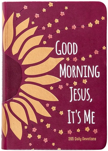 Good Morning Jesus It?ÇÖs Me: 365 Daily Devotions