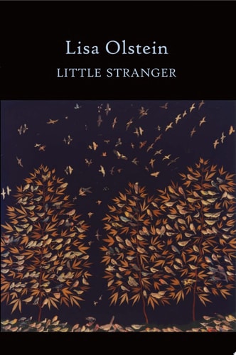 Little Stranger (Lannan Literary Selections)