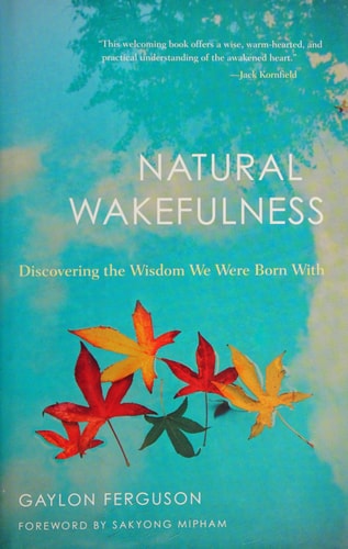 Natural Wakefulness: Discovering the Wisdom We Were Born With