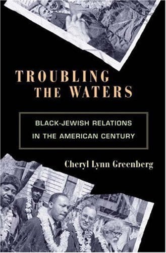 Troubling the Waters: Black-Jewish Relations in the American Century (Politics and Society in Twentieth-Century America)