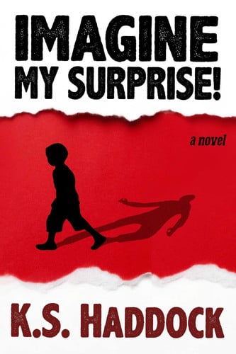 Imagine My Surprise!: A Novel
