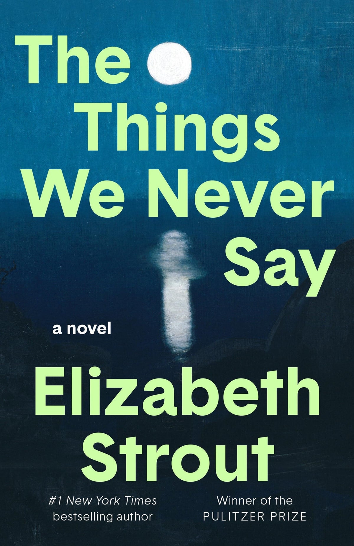 The things we never say: a novel