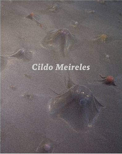Cildo Meireles /anglais