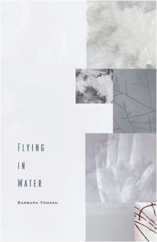 Flying In Water
