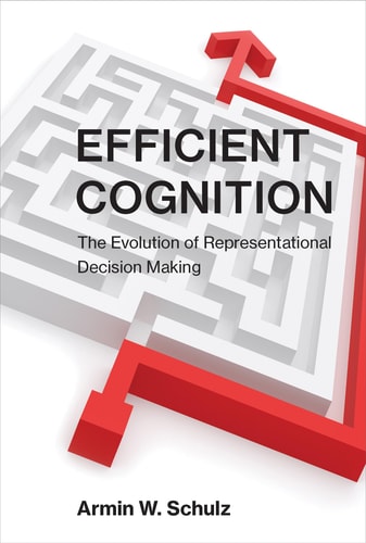 Efficient Cognition: The Evolution of Representational Decision Making