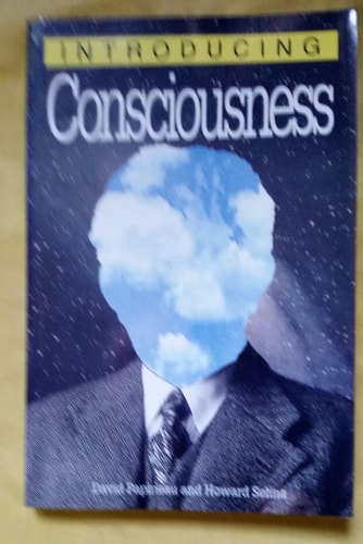 Introducing Consciousness