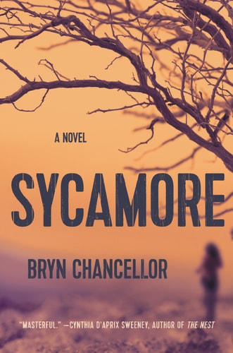 Sycamore: A Novel