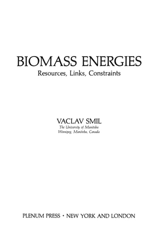 Biomass Energies: Resources, Links, Constraints (Institute for Amorphous Studies Series)