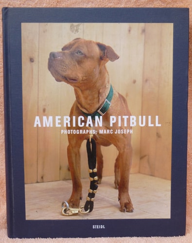 Marc Joseph: American Pitbull