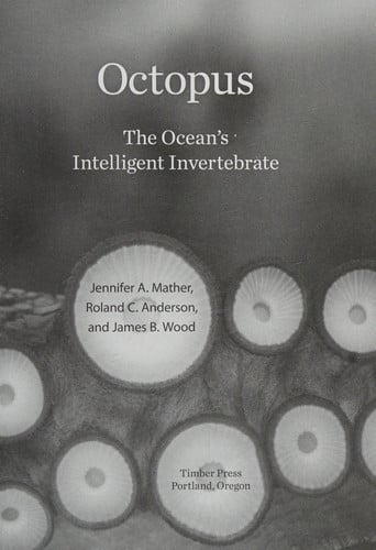 Octopus: The Ocean's Intelligent Invertebrate