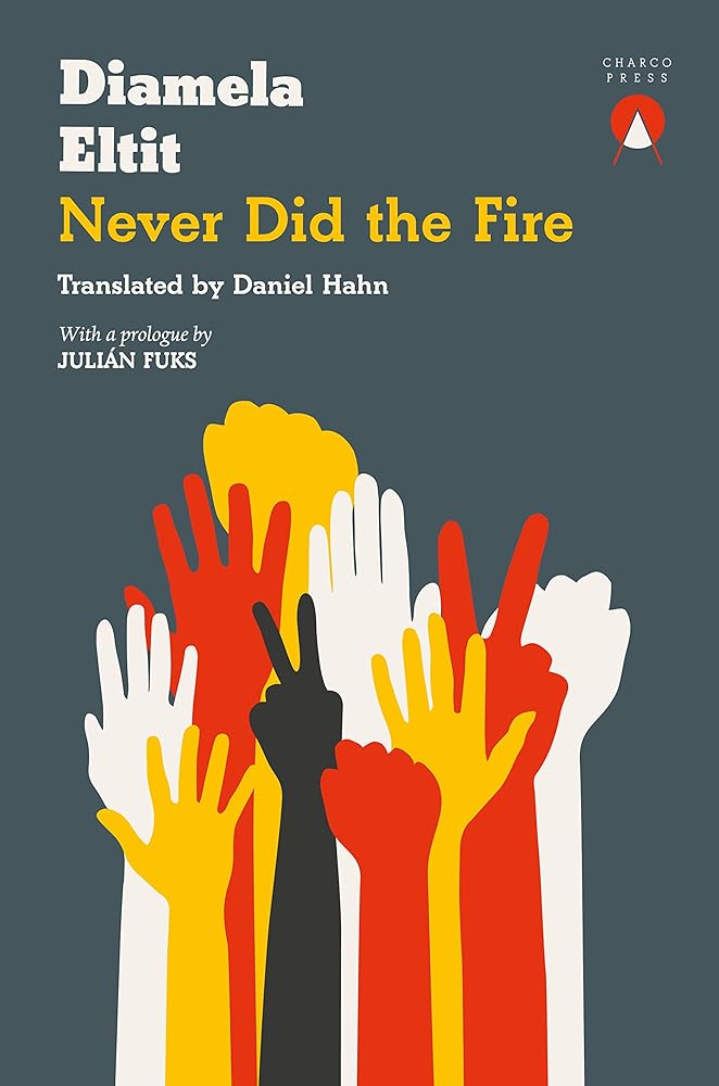 Never Did the Fire cover image