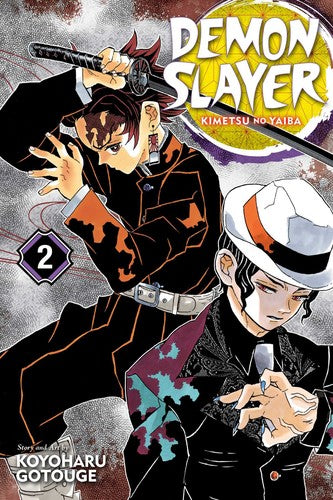 Demon Slayer: Kimetsu no Yaiba, Vol. 2 (2) cover