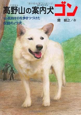 高野山の案内犬ゴン―山道20キロを歩きつづけた伝説のノラ犬 (ドキュメンタル童話・犬シリーズ) cover image