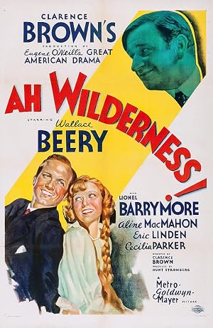 DVD cover