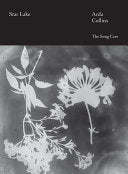 Star Lake cover