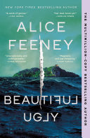 Beautiful Ugly: A Novel cover