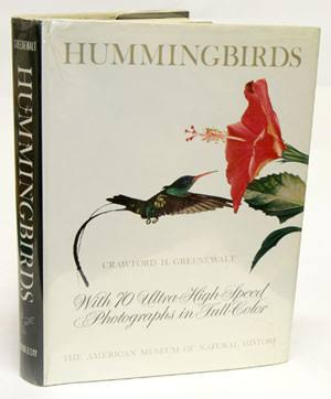 Hummingbirds