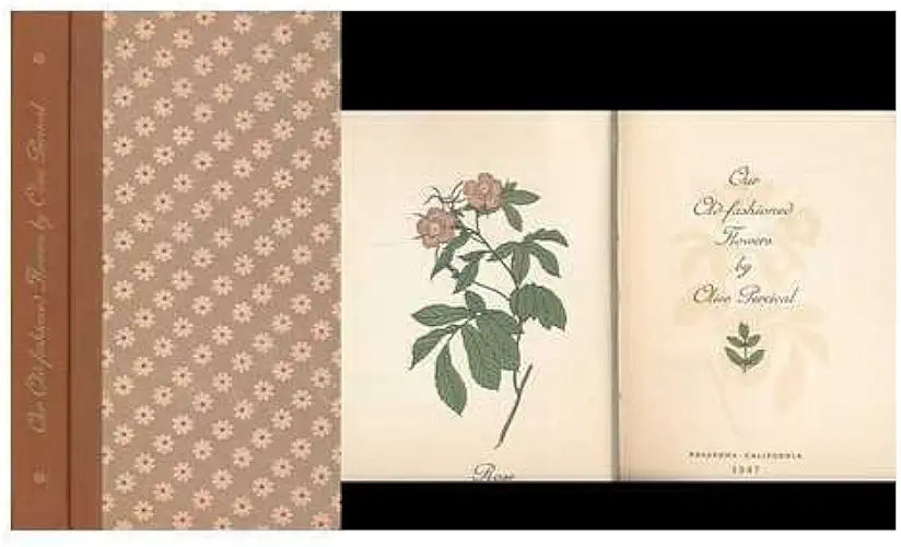 Our Old-Fashioned Flowers by Olive Percival