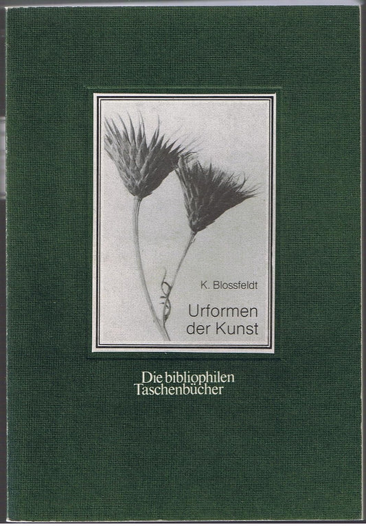 Urformen der Kunst : Nachw. v. u. Jnrgen Wilde (German Edition)