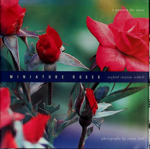 Miniature Roses: A Passion for Roses cover