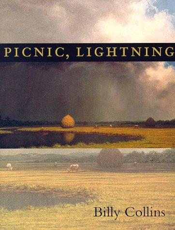 Picnic, Lightning cover