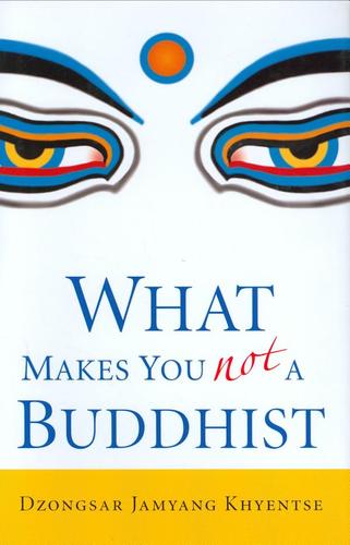 What Makes You Not a Buddhist cover