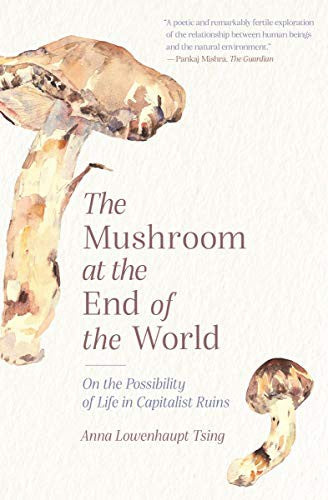 The Mushroom at the End of the World: On the Possibility of Life in Capitalist Ruins cover