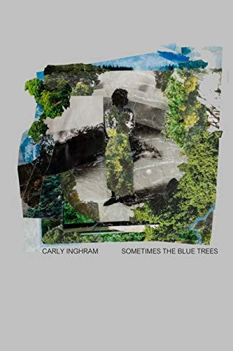Sometimes the Blue Trees cover