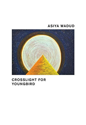 Crosslight for Young Bird cover