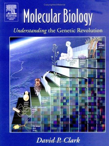 Molecular Biology: Understanding the Genetic Revolution cover