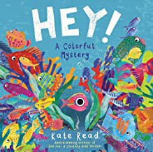 Hey! A Colorful Mystery cover