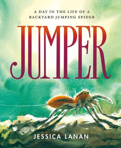 Jumper: A Day in the Life of a Backyard Jumping Spider cover
