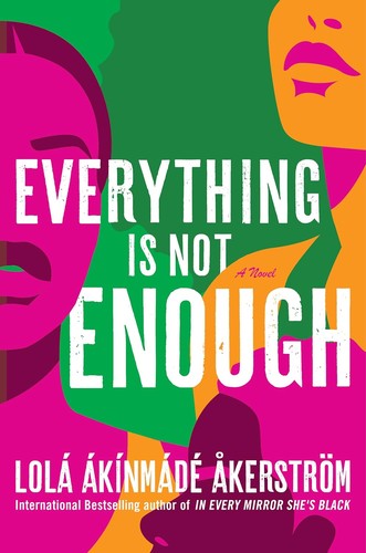 Everything Is Not Enough: A Novel cover