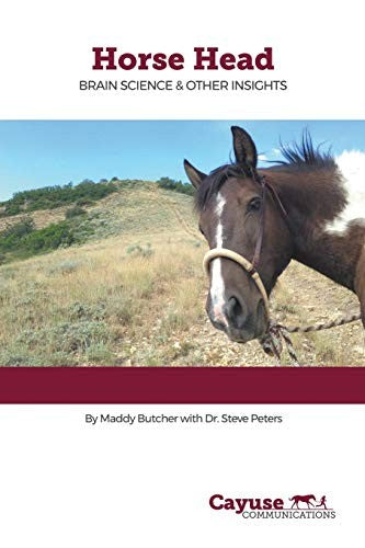Horse Head: Brain Science & Other Insights cover