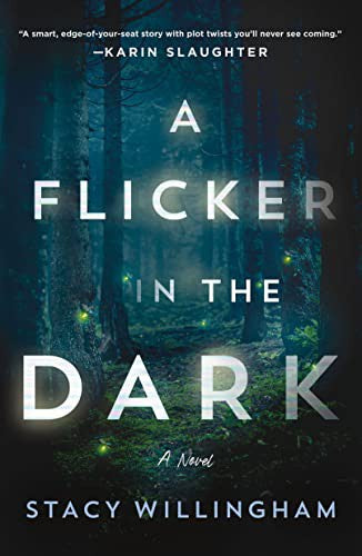 Flicker in the Dark cover