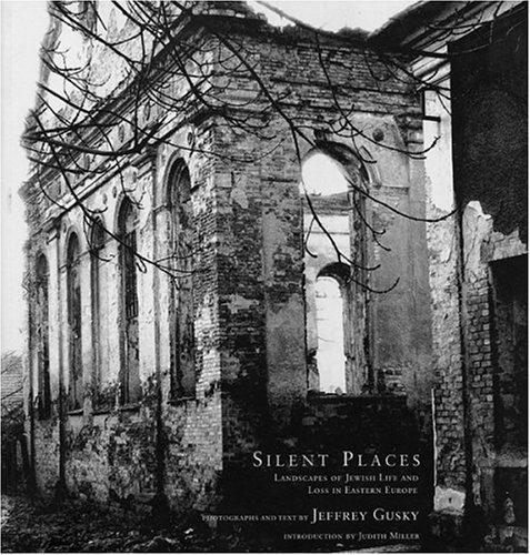 Silent Places cover